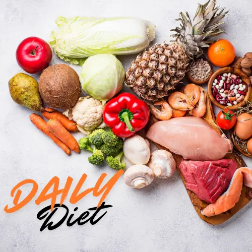 Daily Diet Program