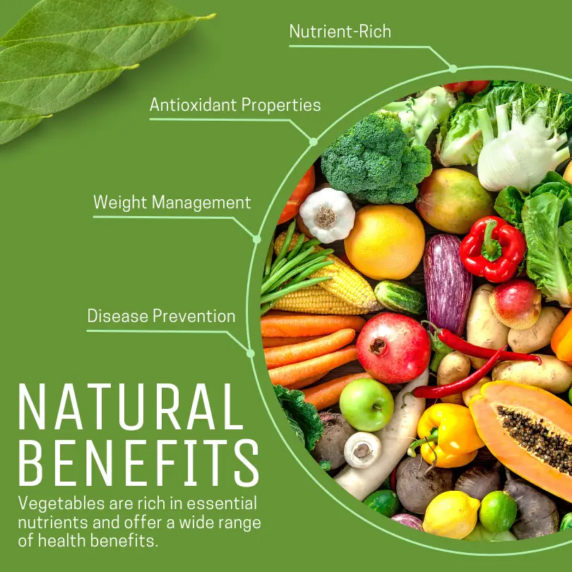 Nutritional and well balance diet benefits 